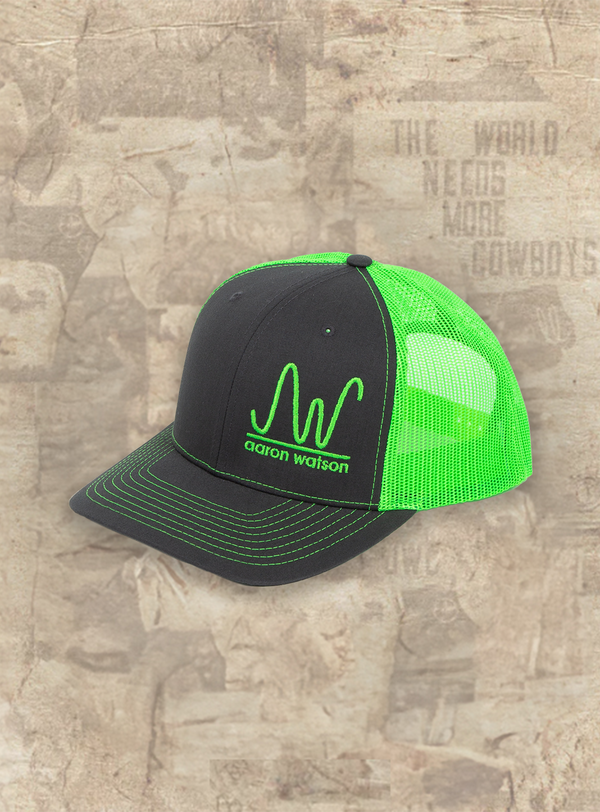 Aaron Watson Neon Hat